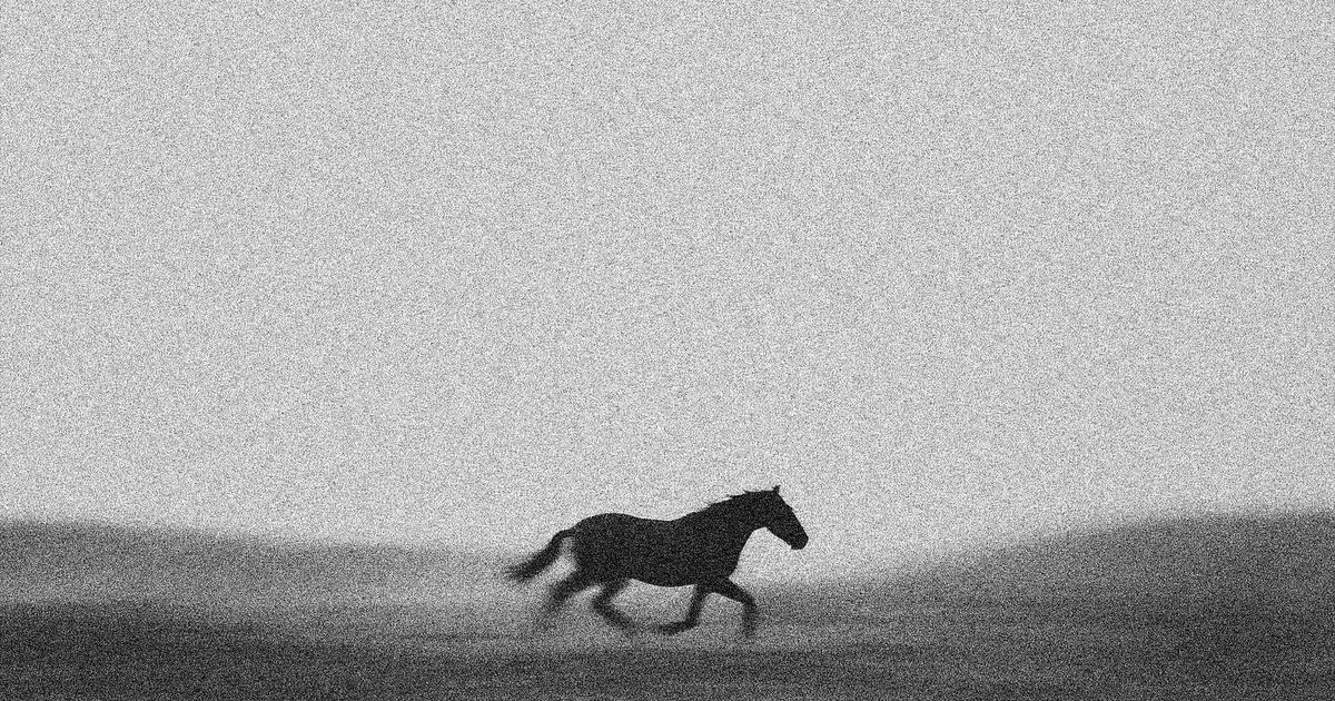 shutt.run image